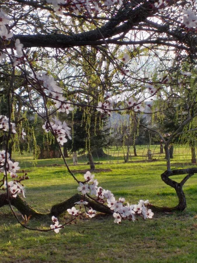 Domaine Berenguer Bed & Breakfast Ouches Luaran gambar