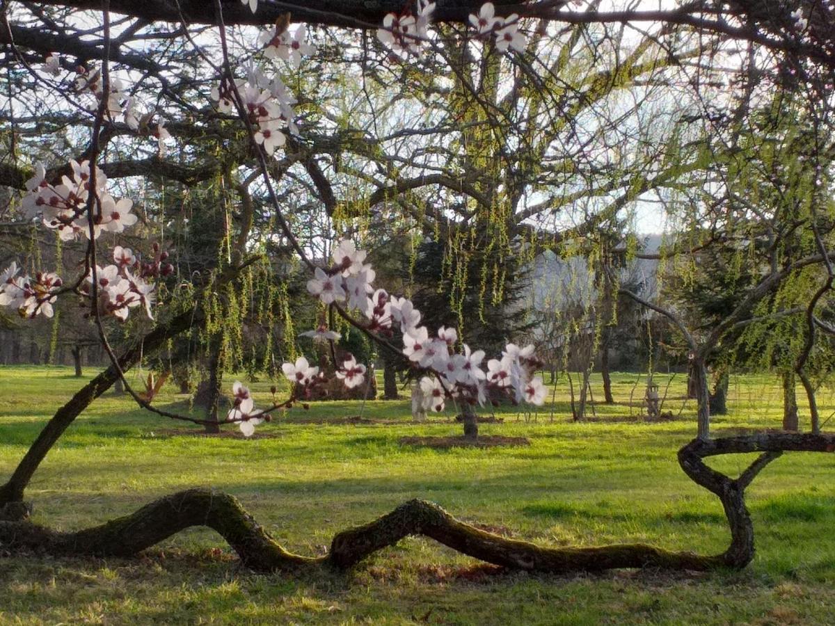 Domaine Berenguer Bed & Breakfast Ouches Luaran gambar